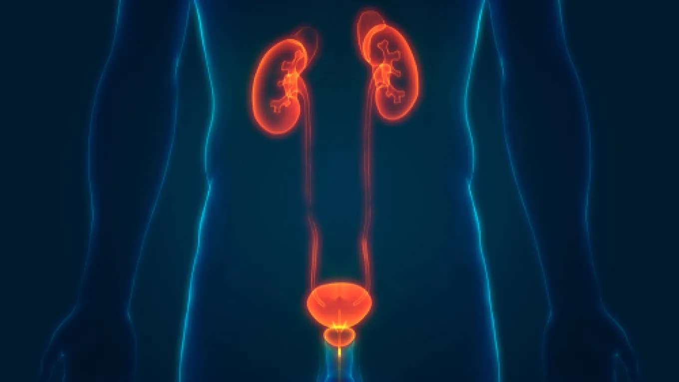 Los factores que pueden aumentar el riesgo de cáncer de vejiga.