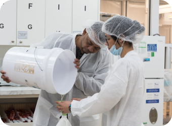 Laboratorio