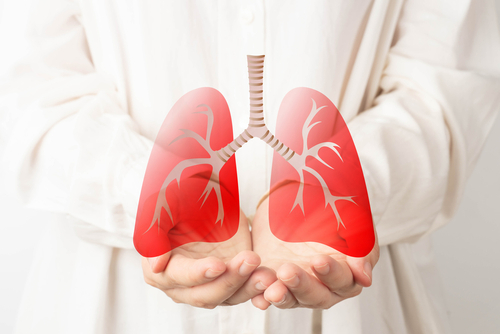 Pulmones