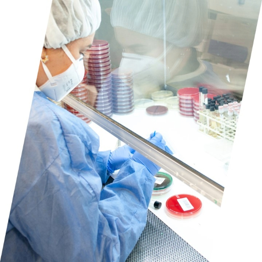 Laboratorio