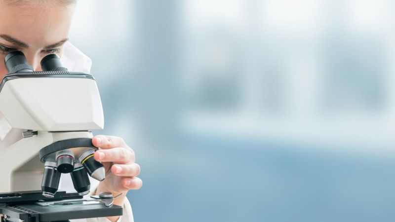 banner test
