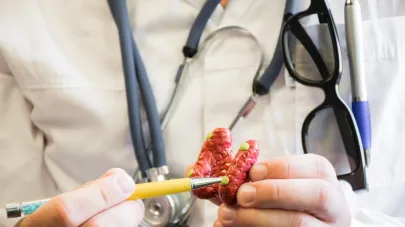 Endocrinologia.jpg