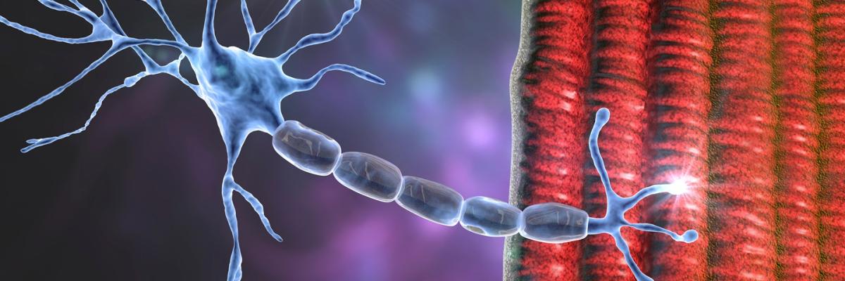 Enfermedades Neuromusculares