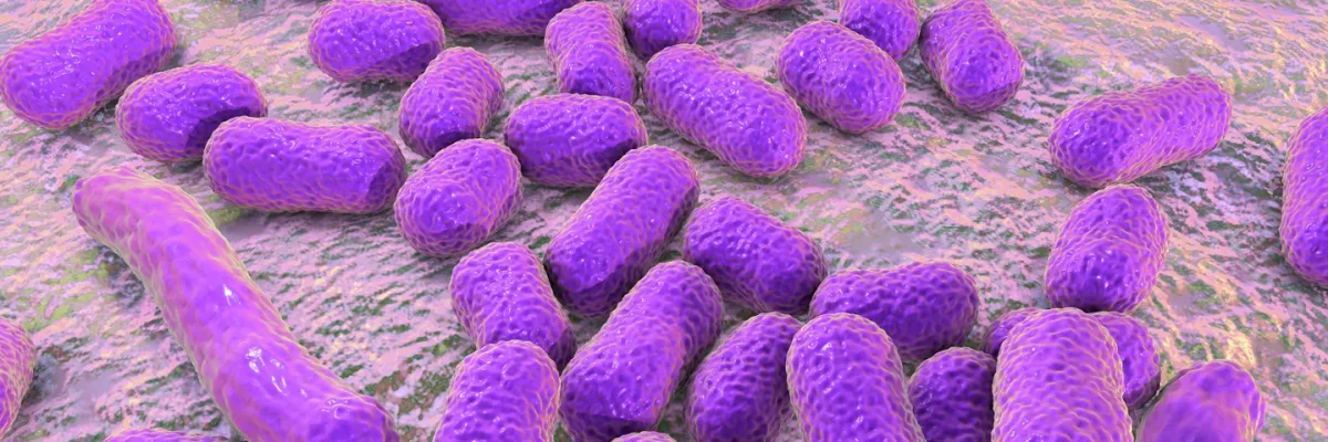 Medicina Crítica, Sepsis