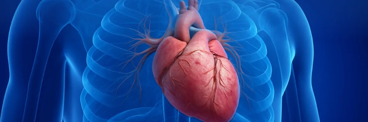 Falla Cardiaca, Miocardiopatías