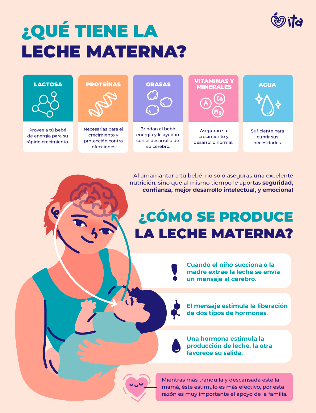 Componentes de la leche