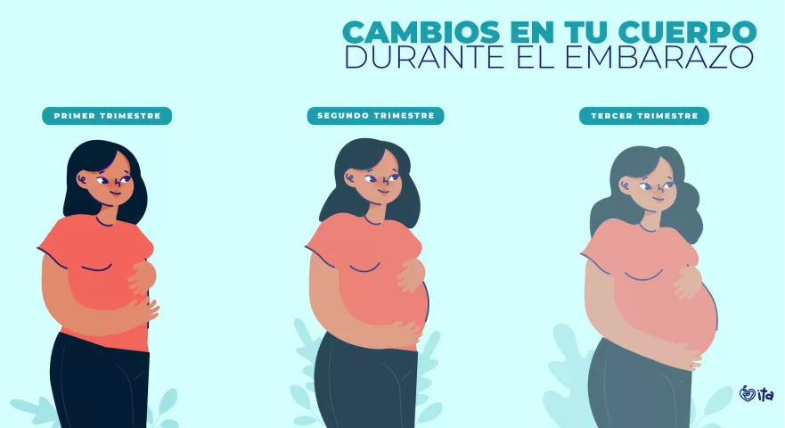 Cambios que experimentará tu cuerpo durante el embarazo
