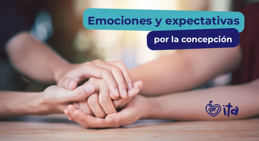 Emociones y expectivas antes de un embarazo
