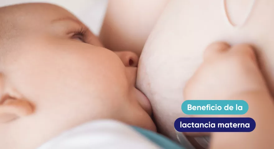 leche materna, lactancia materna