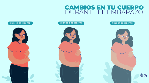 Cambios que experimentará tu cuerpo durante el embarazo