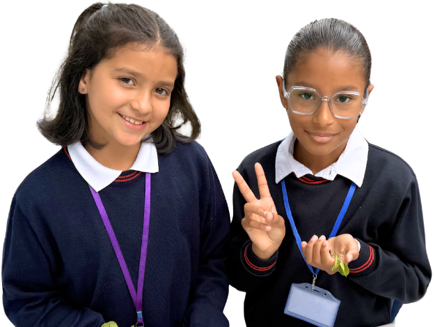 Ilustración del banner