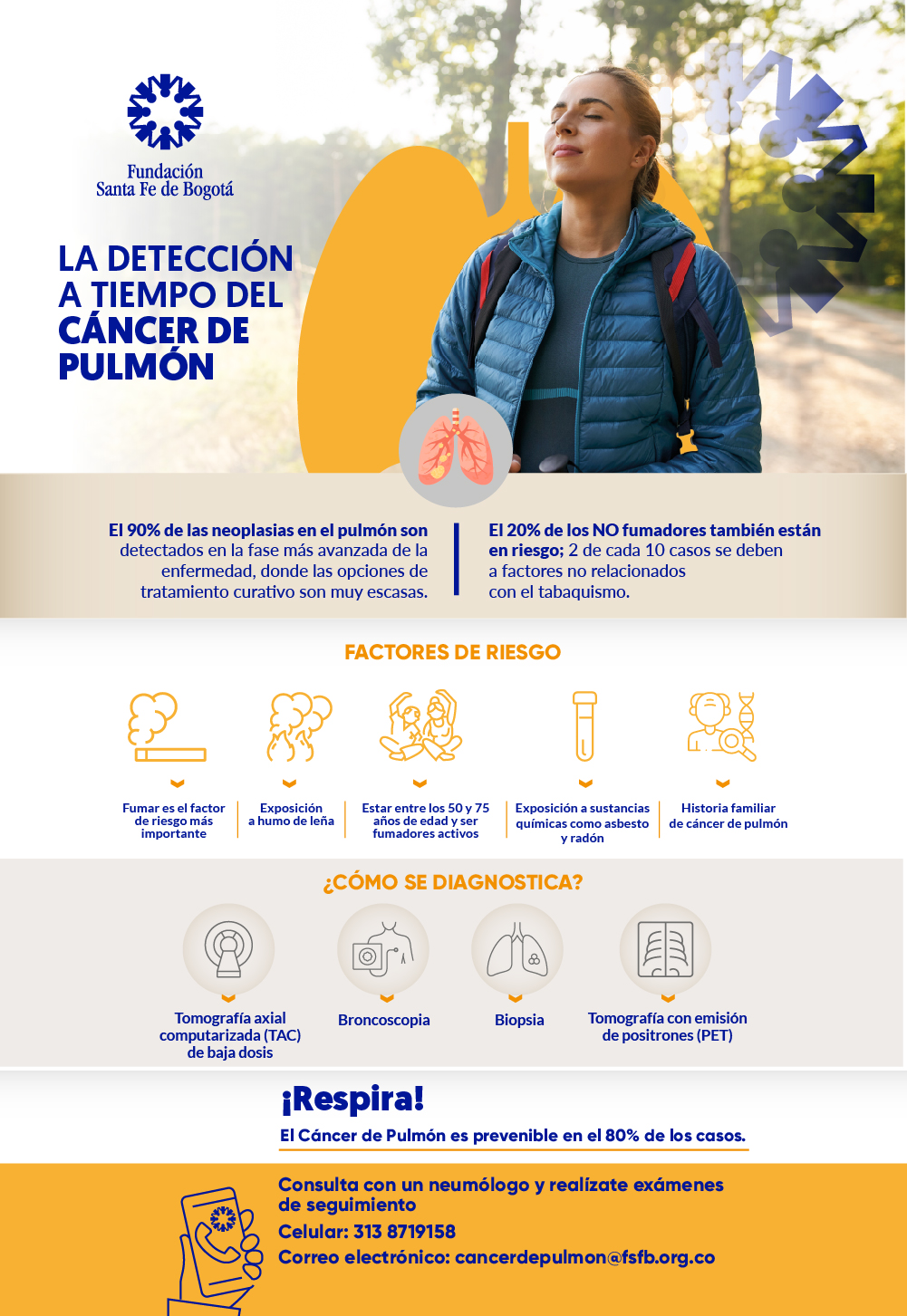 Pulmón info