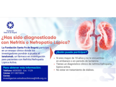 Nefritis Lúpica