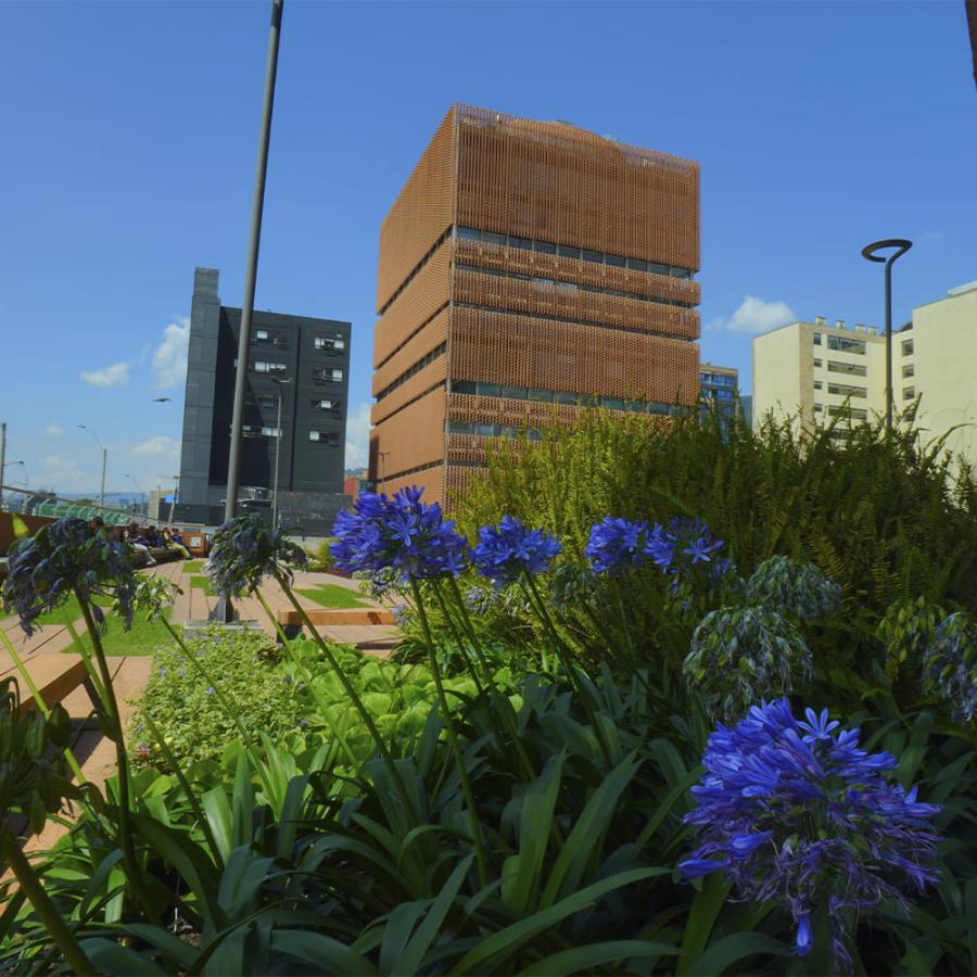 Edificio Ambulatorio