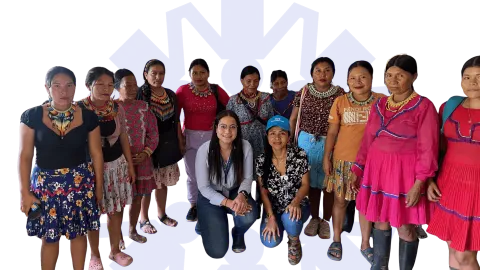 Programa Unidos Banner