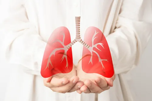 Pulmones