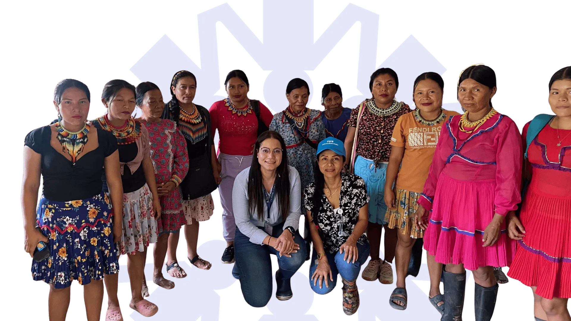 Programa Unidos Banner