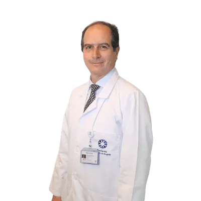 MORA BENDECK NICOLAS GILBERTO